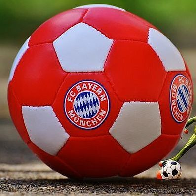 Miembro del equipo